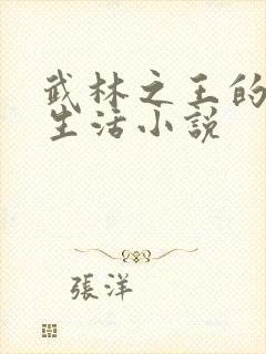 武林之王的退隐生活小说