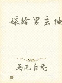 嫁给男主他爹封面