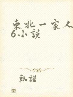 东北一家人1一6小说