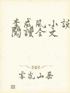 李成风小说在线阅读全文