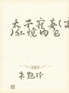 太子宠妾(高肉)红烧肉包