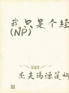 我只是个经纪人(NP)