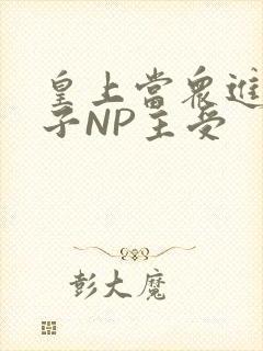 皇上当众进入太子NP主受