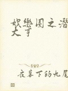 娱乐圈之潜规则大亨封面