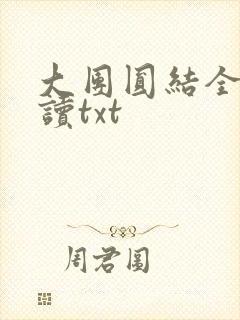 大团圆结全文阅读txt