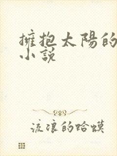 拥抱太阳的月亮小说封面