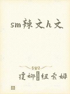 sm辣文h文
