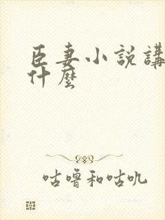 臣妻小说讲的是什么封面