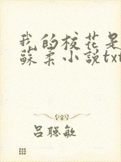 我的校花是福姬苏柔小说txt