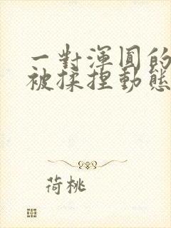 一对浑圆的胸乳被揉捏动态图