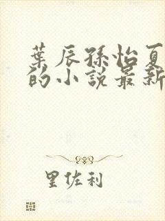 叶辰孙怡夏若雪的小说最新