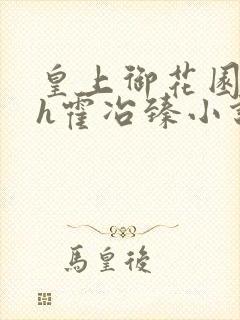 皇上御花园hlh霍冶臻小说封面