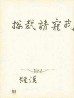 总裁请宠我封面