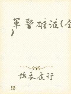 军警雄液(全篇)封面