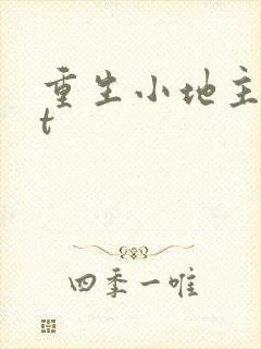 重生小地主txt封面