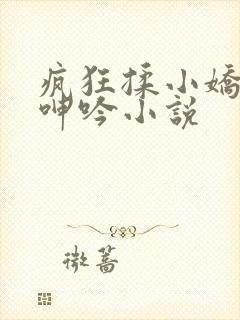 疯狂揉小娇喘声呻吟小说