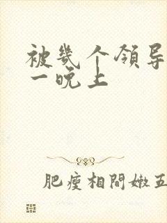 被几个领导玩弄一晚上