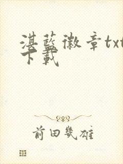 湛蓝徽章txt下载封面