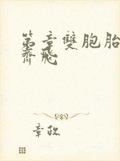 第章双胞胎姐妹齐飞