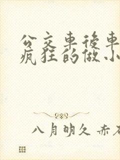 公交车后车座的疯狂的做小