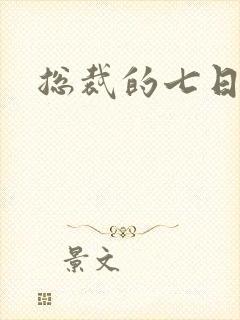 总裁的七日恋人