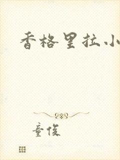 香格里拉小说封面