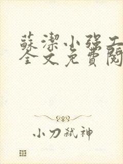 苏洁小强工地情全文免费阅读