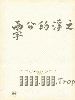 两公的浮之手中字