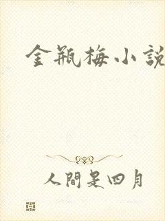 金瓶梅小说