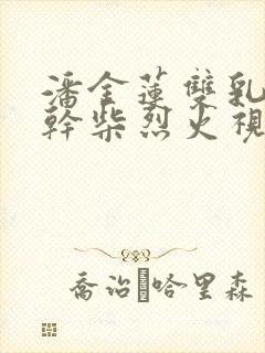 潘金莲双乳晃动干柴烈火视频