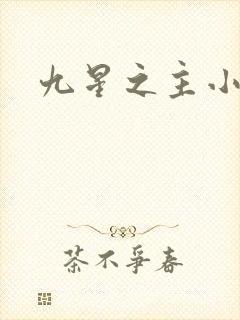 九星之主小说封面
