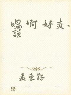 嗯 啊 好爽小说