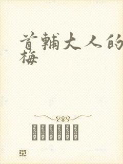 首辅大人的小青梅