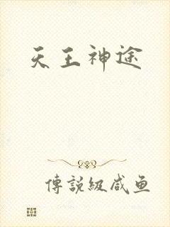 天王神途封面