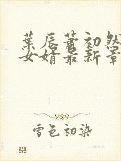 叶辰萧初然上门女婿最新章节