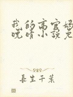 我的高官妈妈苏晚晴小说免费阅读