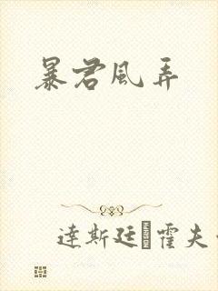 暴君风弄封面