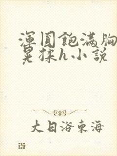 浑圆饱满胸乳摇晃揉h小说