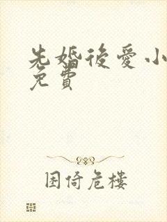 先婚后爱小说 免费