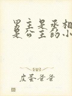 男主是丞相女主是公主的小说