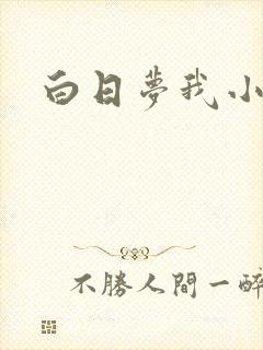 白日梦我小说