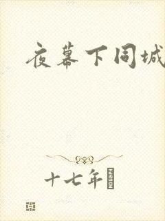 夜幕下同城网封面