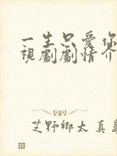 一生只爱你 电视剧剧情介绍封面