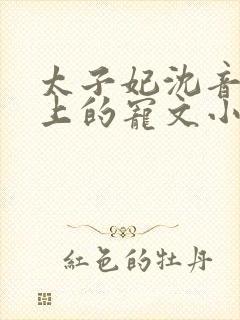 太子妃沈音和皇上的宠文小说封面