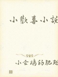小欢喜小说