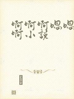 啊啊啊嗯嗯啊啊啊小说