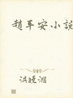 赵平安小说主角封面