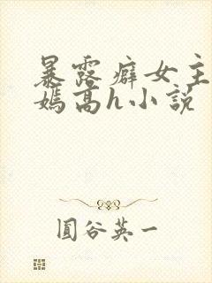 暴露癖女主宋嫣嫣高h小说