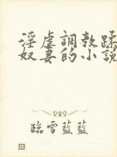 淫虐调教蹂躏共奴妻的小说封面