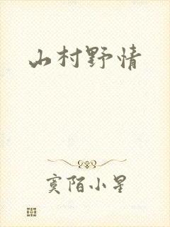 山村野情封面